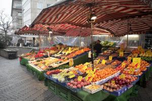 Presentare la dichiarazione COSAP